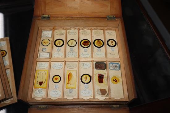 Two cases of scientific microscope slides many by Dareston, Birmingham